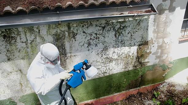 Trusted Commercial Mold Remediation service in Indian River, MI - Cheap Mold Removal